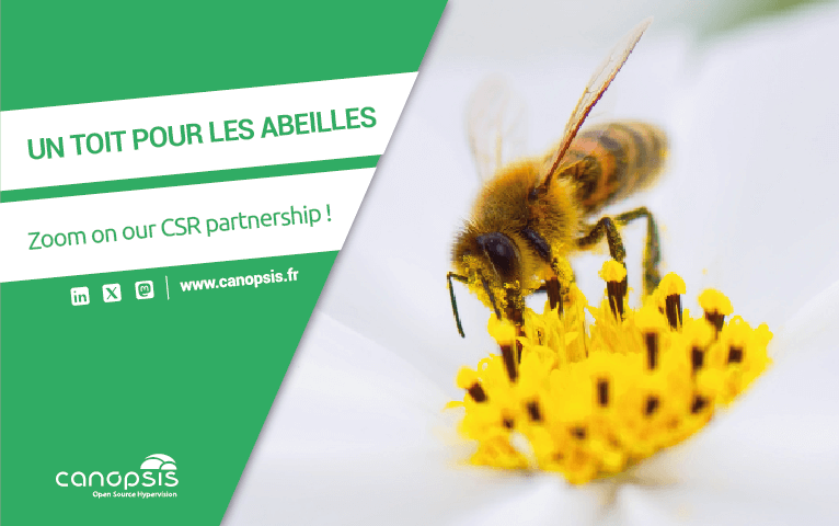 Article Un Toit pour les Abeilles Bees - EN